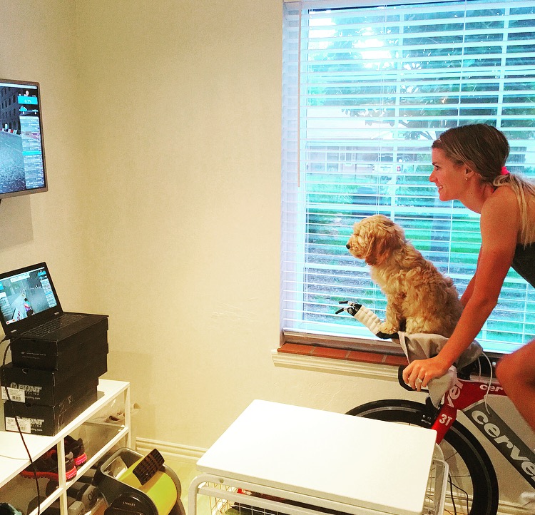 zwift station